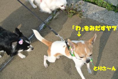 20130318+021_convert_20130318134001.jpg