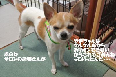 20130318+022_convert_20130318093021.jpg