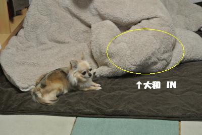 20130318+030_convert_20130318093231.jpg