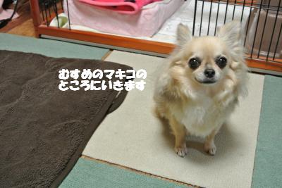 20130318+033_convert_20130322153437.jpg