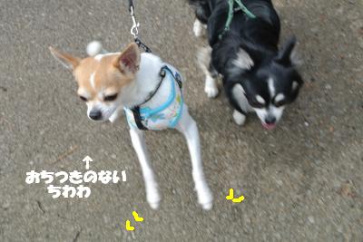 20130321+008_convert_20130321100147.jpg