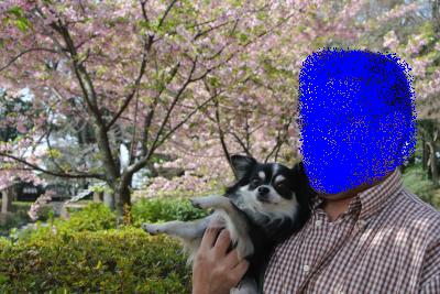 20130321+019_convert_20130321100658.jpg