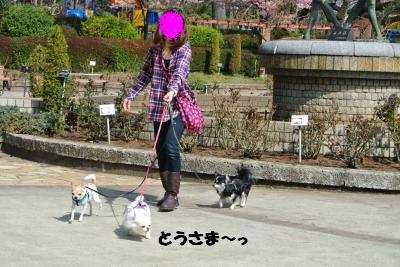 20130321+026_convert_20130322104537.jpg