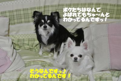 20130321+032_convert_20130327102546.jpg