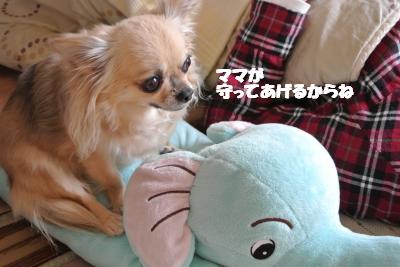 20130325+002_convert_20130325100410.jpg