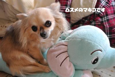 20130325+003_convert_20130325100439.jpg