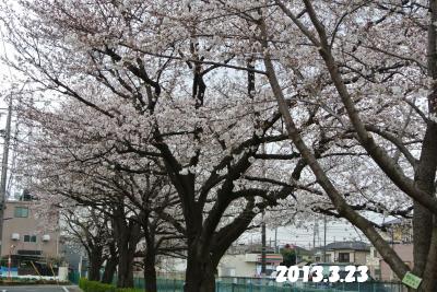 20130325+007_convert_20130325095403.jpg