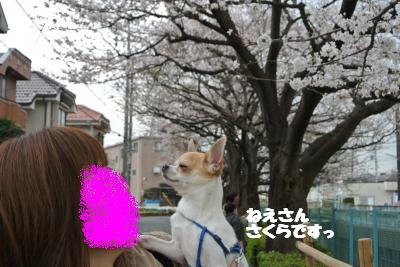 20130325+011_convert_20130325095505.jpg