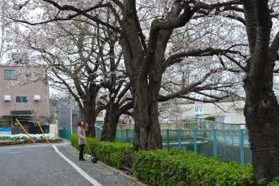 20130325+024_convert_20130325100215.jpg
