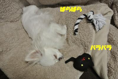 20130326+001_convert_20130326105853.jpg