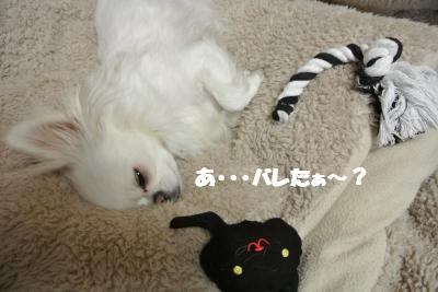20130326+002_convert_20130326105917.jpg