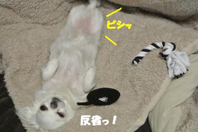 20130326+004_convert_20130326105947.jpg