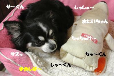 20130326+005_convert_20130327102358.jpg