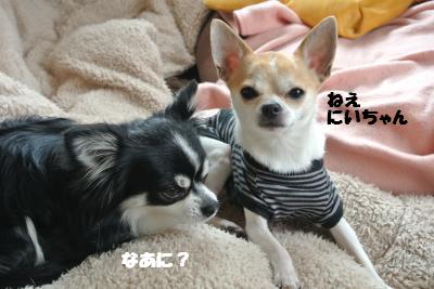20130326+008_convert_20130328104242.jpg