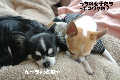 20130326+010_convert_20130328104349.jpg