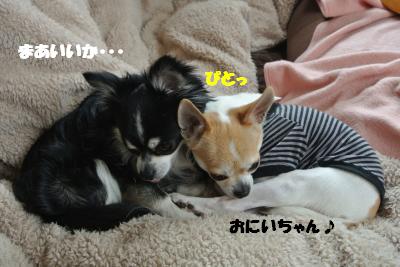 20130326+012_convert_20130328104505.jpg
