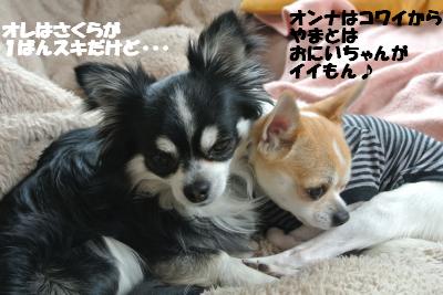 20130326+013_convert_20130328104536.jpg