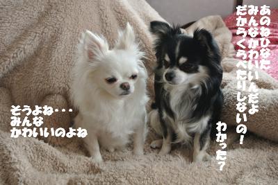 20130401+005_convert_20130401103428.jpg