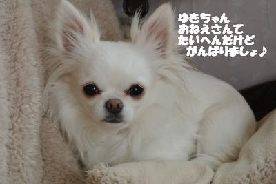 20130401+007_convert_20130401111037.jpg