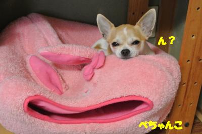 20130402+008_convert_20130402111535.jpg