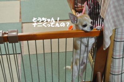 20130403+012_convert_20130403110545.jpg