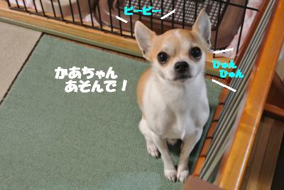 20130403+025_convert_20130403110804.jpg