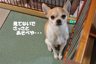 20130403+026_convert_20130403110837.jpg