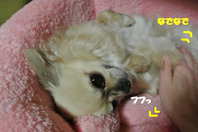 20130404+006_convert_20130404093819.jpg