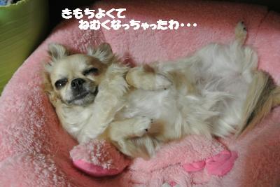20130404+007_convert_20130404095535.jpg