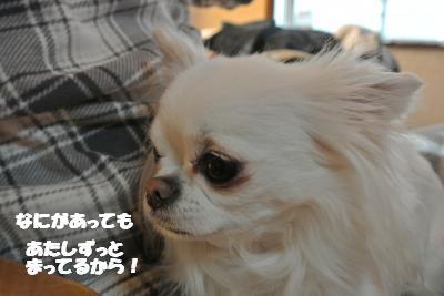 20130404+008_convert_20130405102750.jpg