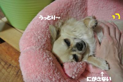 20130404+010_convert_20130404093958.jpg