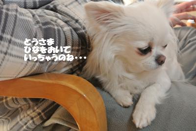 20130404+015_convert_20130405102714.jpg