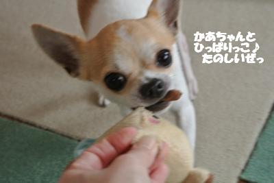 20130405+003_convert_20130405101943.jpg