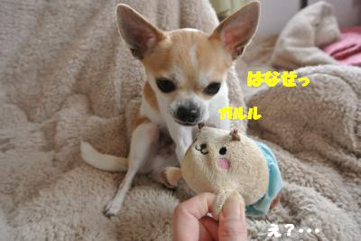 20130405+004_convert_20130405102028.jpg