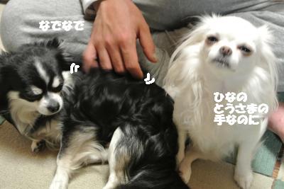 20130408+009_convert_20130408105222.jpg