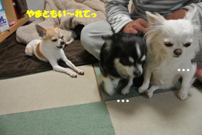 20130408+019_convert_20130408105616.jpg