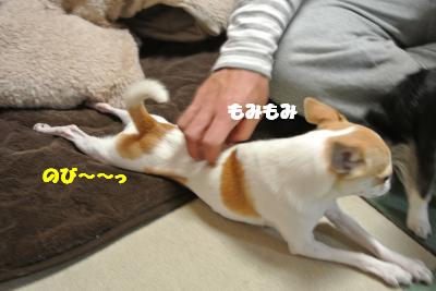 20130408+023_convert_20130408105808.jpg