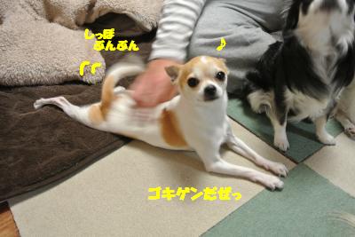 20130408+024_convert_20130408105834.jpg