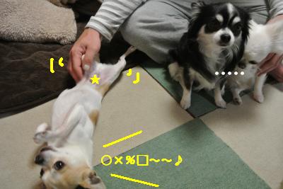 20130408+028_convert_20130408110007.jpg