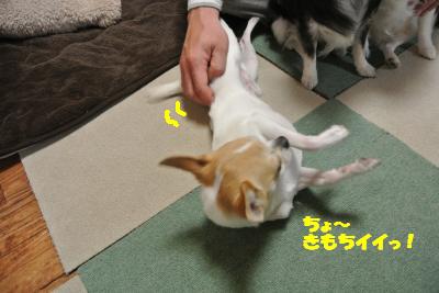 20130408+029_convert_20130408105913.jpg