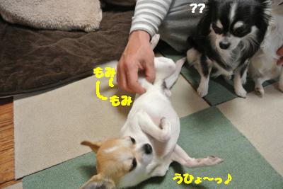 20130408+030_convert_20130408105940.jpg
