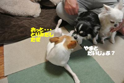 20130408+031_convert_20130408110039.jpg