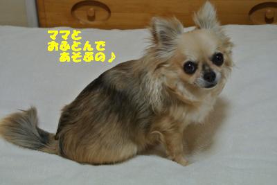 20130412+004_convert_20130412095602.jpg