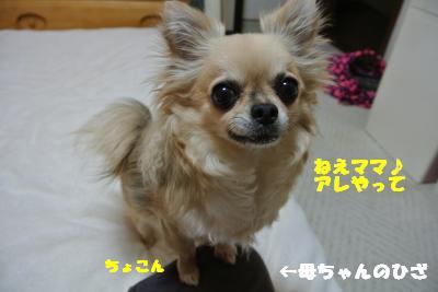 20130412+008_convert_20130412095538.jpg