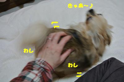 20130412+009_convert_20130412095626.jpg