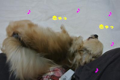 20130412+010_convert_20130412095651.jpg