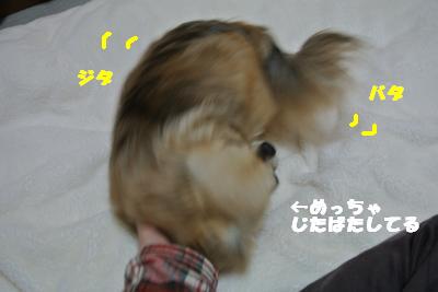 20130412+011_convert_20130412095719.jpg