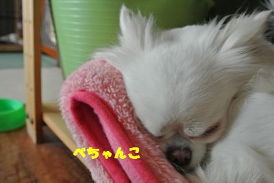 20130412+014_convert_20130412100409.jpg