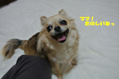 20130412+015_convert_20130412095750.jpg