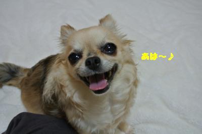 20130412+020_convert_20130412095820.jpg